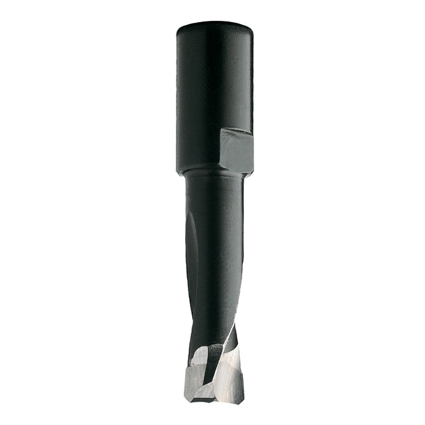 Router Bit For Domino Xl Joining, 12, Rght