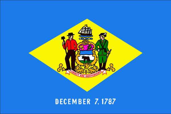 Delaware State Flag, 3x5 Ft