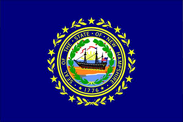 New Hampshire State Flag, 3x5 Ft