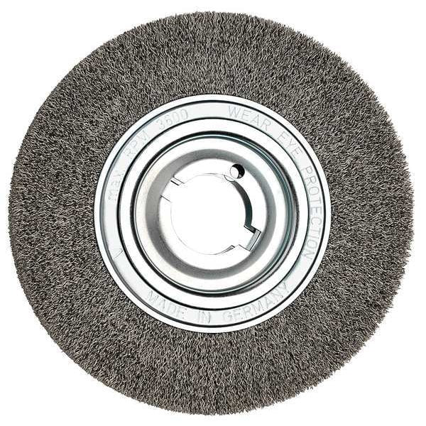 Steel Wire Brush, 1-3/8 in. dia.
