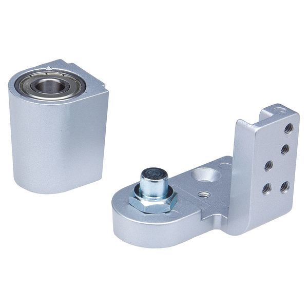 Aluminum Pivot Hinge
