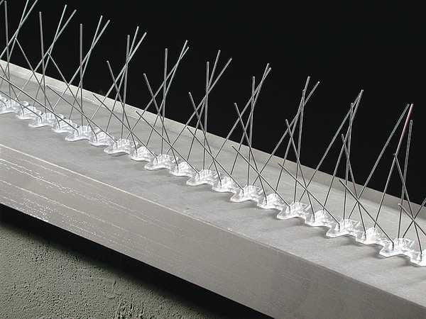 Bird Repellent Spikes, Bird-Flite, 50 ft.
