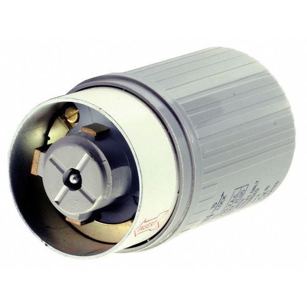 60A Hospital Locking Plug 2P 3W 250VAC GY