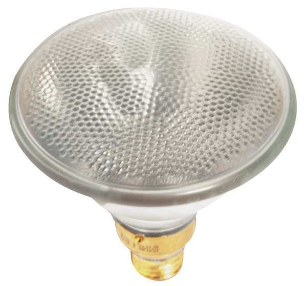 Tuffskin Flood Lamp, 90W, 120V