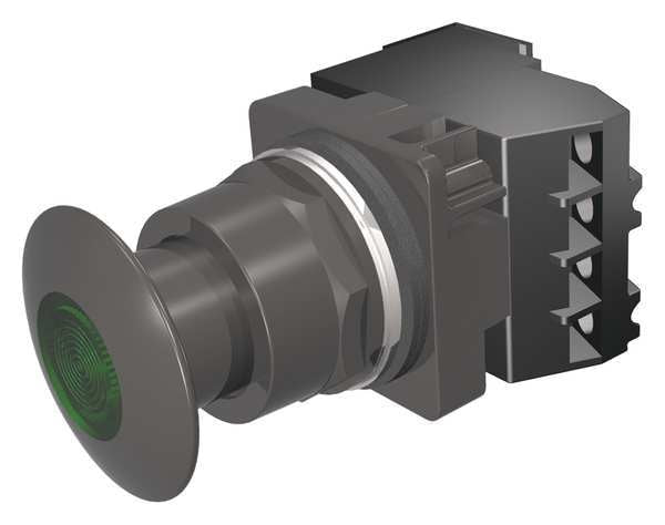 Illuminated Push Button, 30 mm, 1NO/1NC, Green