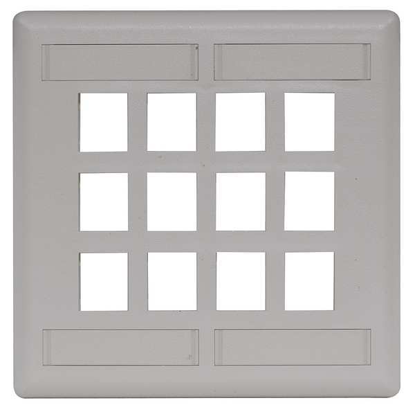 Plate, 12 Ports, Office White, Flush