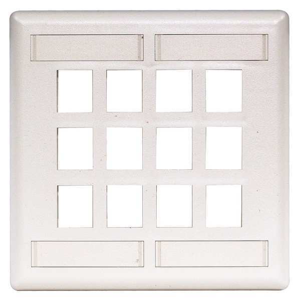 Plate, 12 Ports, White, Flush