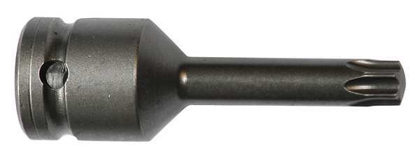 Socket Bit, 1/2 in. Dr, T50 Torx(R)