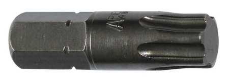 Torsion Bit, SAE, 5/16