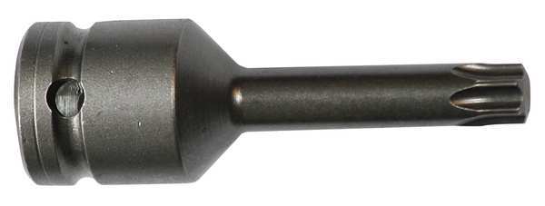 Socket Bit, 1/2 in. Dr, T55 Torx(R)
