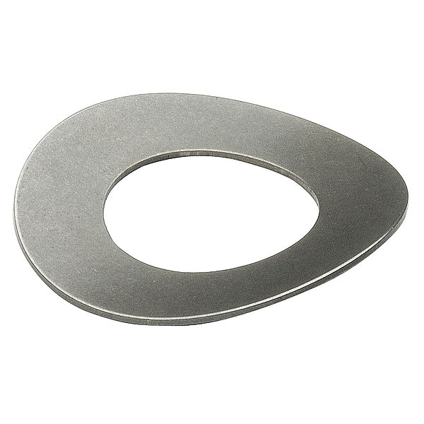 Disc Spring, 0.312, SS, Curved, PK10