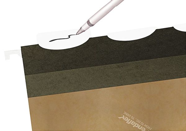 Hanging File Folder, Standard Green, PK25