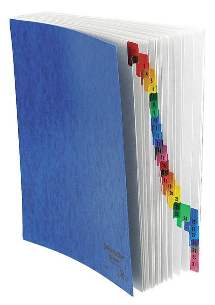Expandable File (1-31) 8-1/2 x 11