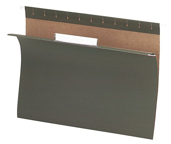 Hanging File Folder, Standard Green, PK25