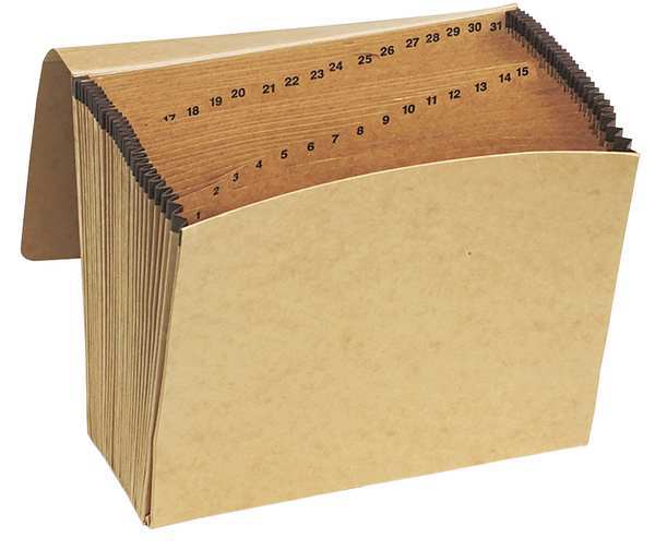 Expandable File Daily (1-31) 8-1/2 x 11