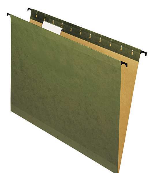 Hanging File Folder, Standard Green, PK20