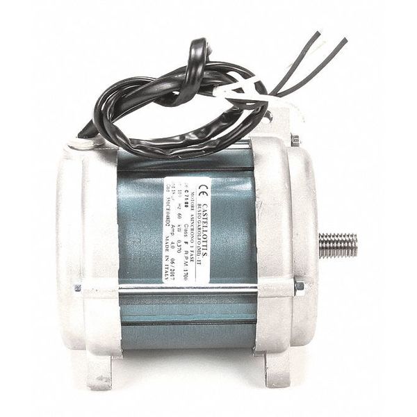 Motor, 110V