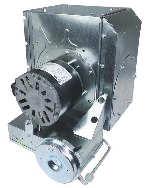 Section, Plenum