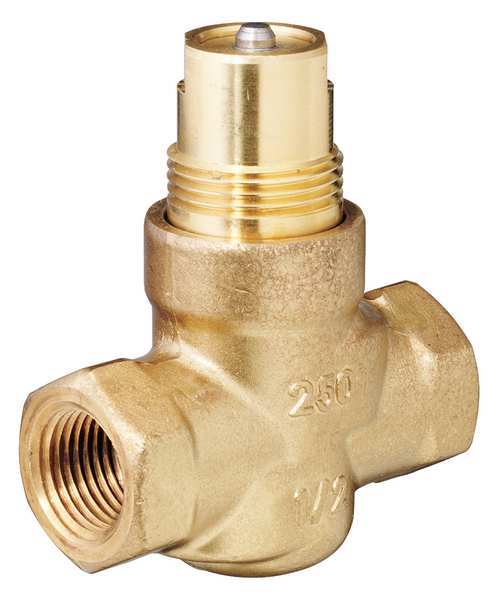 Control Valve, Globe, 1/2 in. NPT