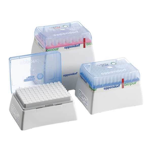 Pipetter Tips, 20 to 300uL, PK960