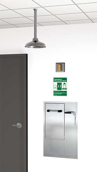 Drench Shower With Face/Eyewash, Silver