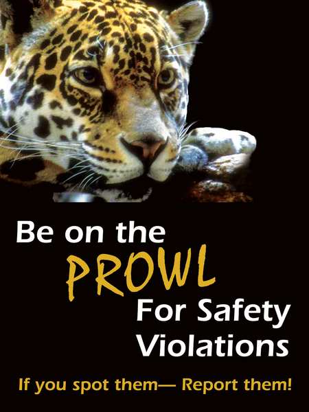 Safety Poster, 24 x 18In, FLEX PLSTC, ENG