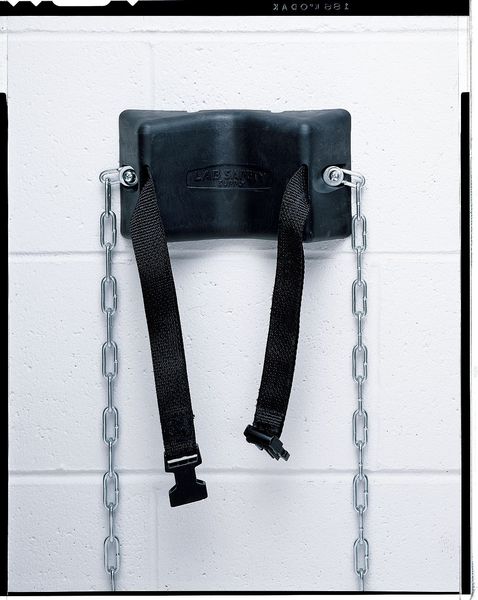 Replacement Strap and Buckle