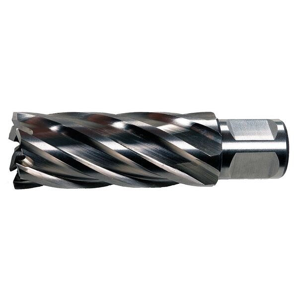 Annular Cutter, HSS, 2-1/4 dia., 4D