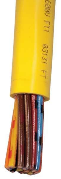 16 AWG 8 Conductor Portable Cord 600V 25 ft. YL