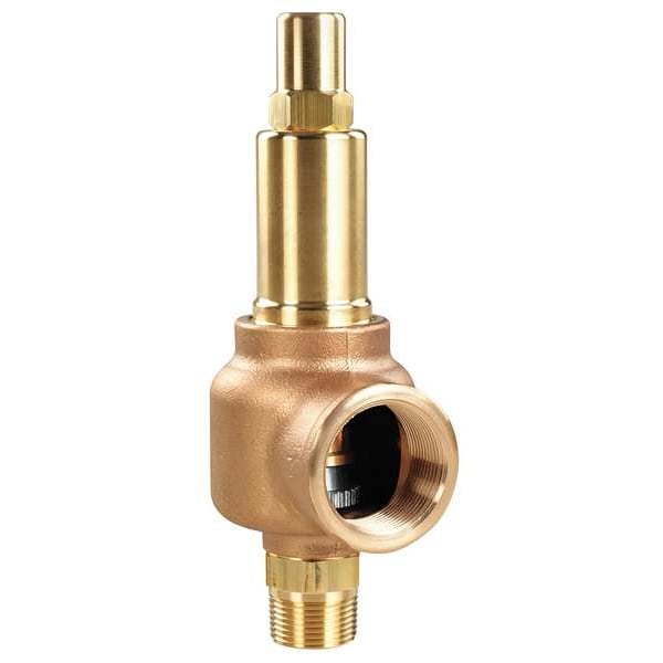 Safety Relief Valve, 2 x 2, 300 psi