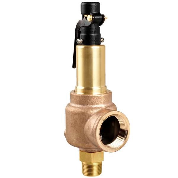 Safety Relief Valve, 1 x 1-1/4,125 psi