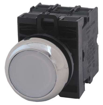 Illuminated Push Button, 22 mm, 2NO, White