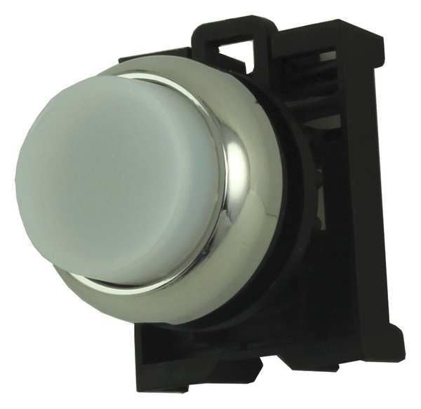 Illum Push Button Operator, 22mm, White