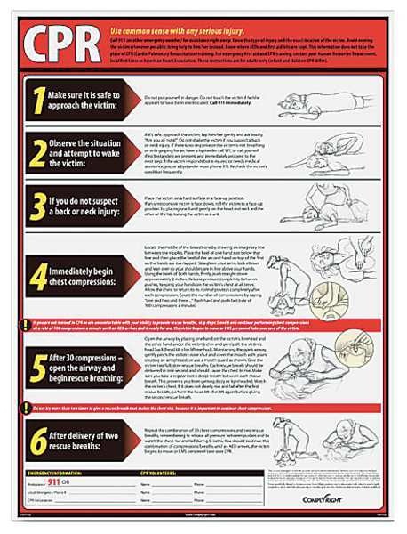 CPR Poster, English
