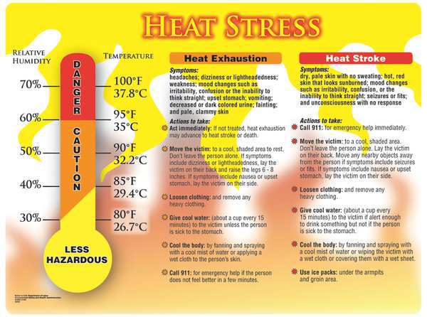 Poster, Heat Stress, 18 x 24 In.