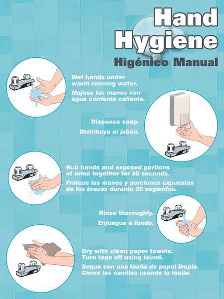 Poster, Hand Hygiene, 18 x 24 In.