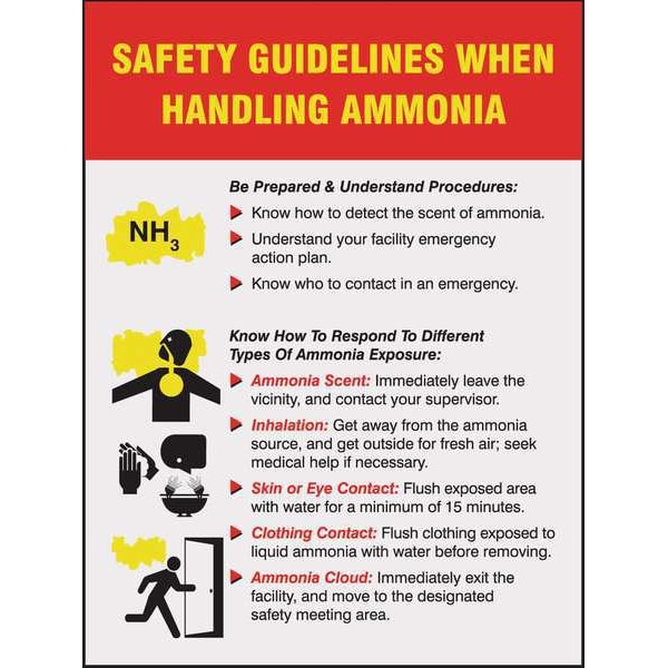 Poster, Safety Guidelines, 18 x 24 In.