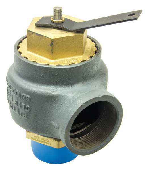 Safety Relief Valve, 2-1/2in.x2-1/2in.