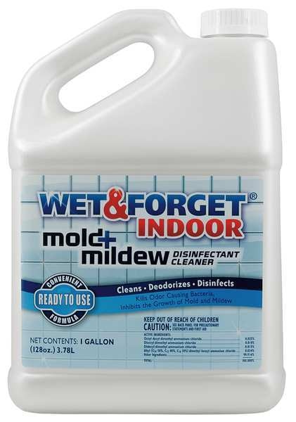 Liquid 1 gal. Indoor Mold and Mildew Disinfectant, Jug
