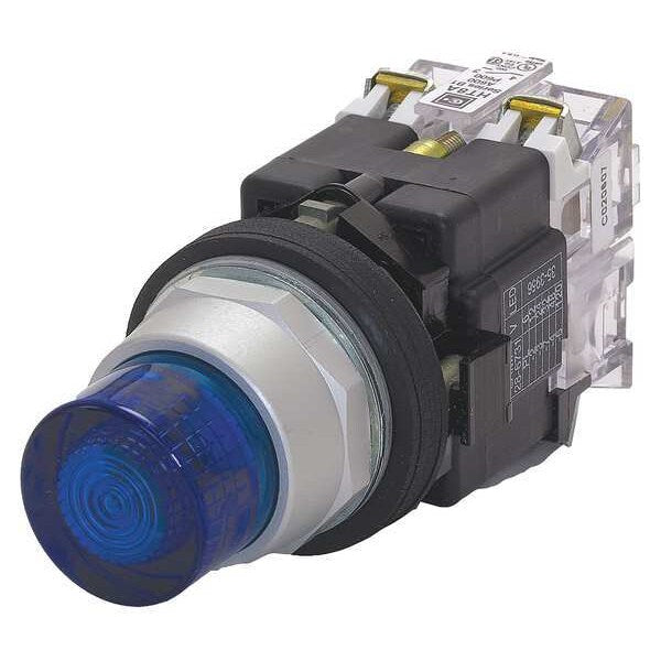 Illuminated Push Button, 30mm, Blue