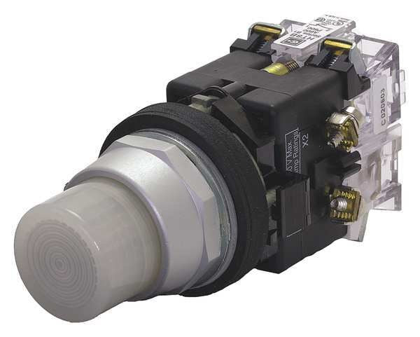Illuminated Push Button, 1NO, 24VAC/DC