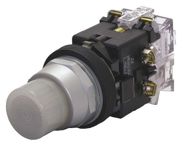 Illuminated Push Button, 30mm, 1NO, 120VAC