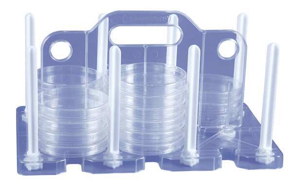 Rack, Petri dish, 6 Slots
