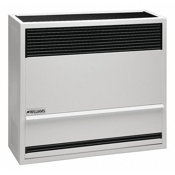 Surface-Mount Gas Wall Heater, Propane, Direct Vent Vent Type, Gravity Convection