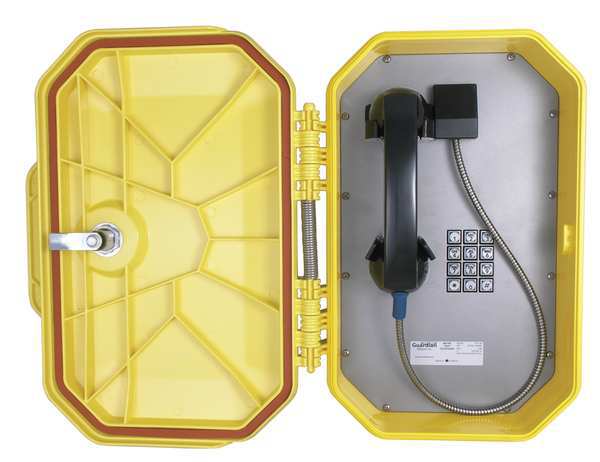 Vandal Resistant Telephone, VoIP