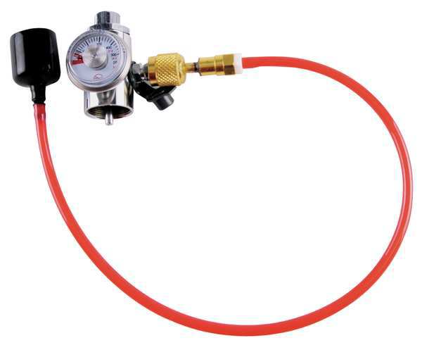 Gas Regulator w/Adptr/Cupule Assy, 20psi