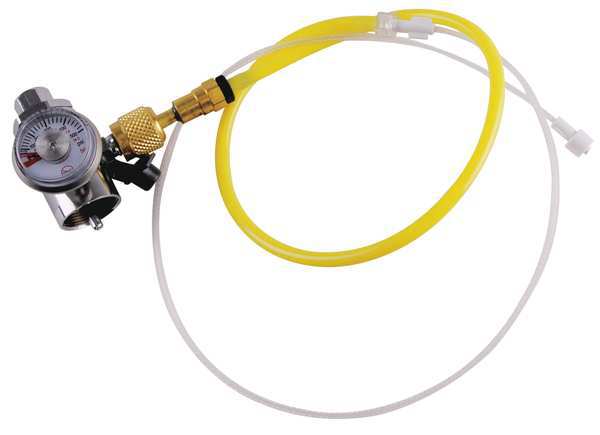 Gas Regulator w/Adapter Assy, 20 psi