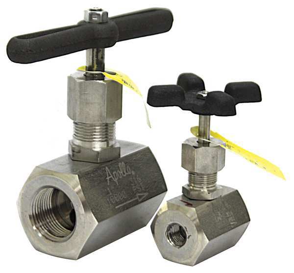 Globe Valve, 1/2 In., FNPT, 316 SS