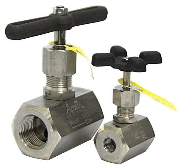 Globe Valve, 1/4 In., FNPT, 316 SS