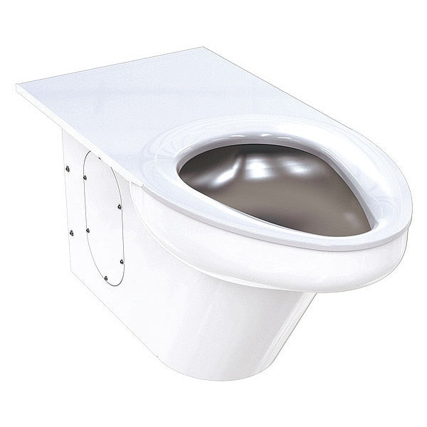 Ligature Resistant Toilet, 1.6/1.28 gpf, Floor Mount, Elongated, White